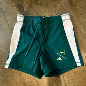 Tracksmith puma shorts